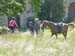 rof13_071