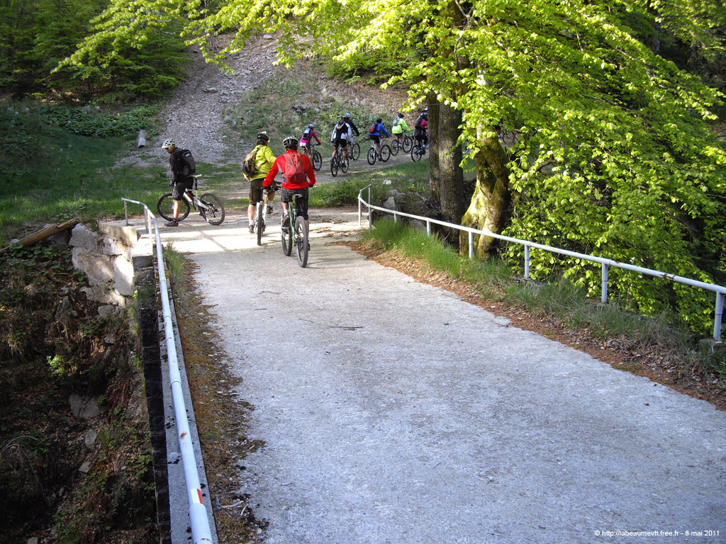 20110508_029