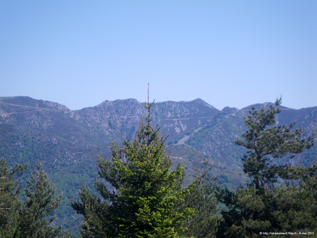 20110508_302