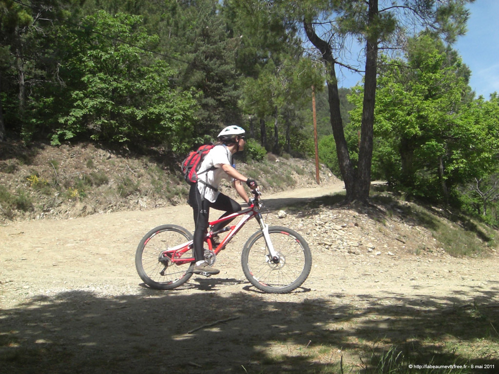20110508_333