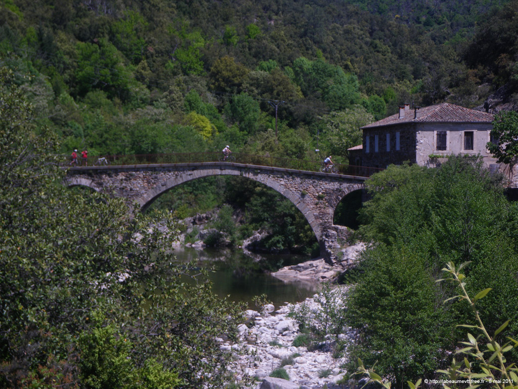 20110508_392