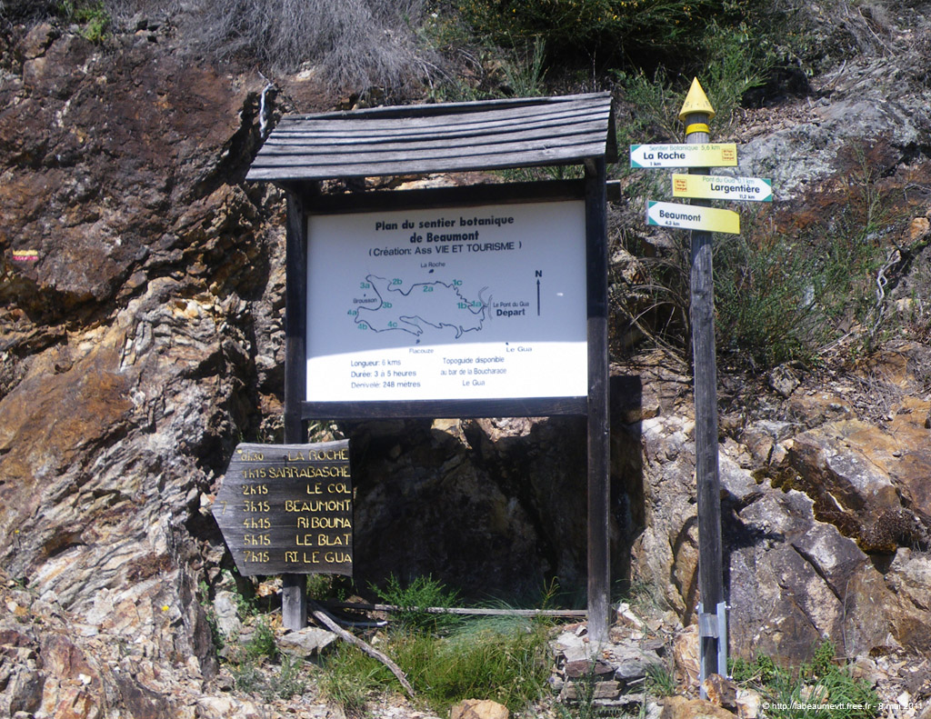 20110508_393