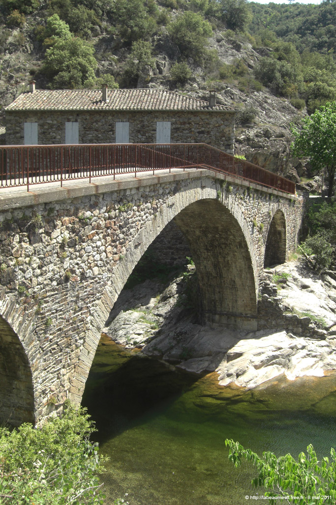 20110508_398