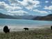 gerardtrip_004