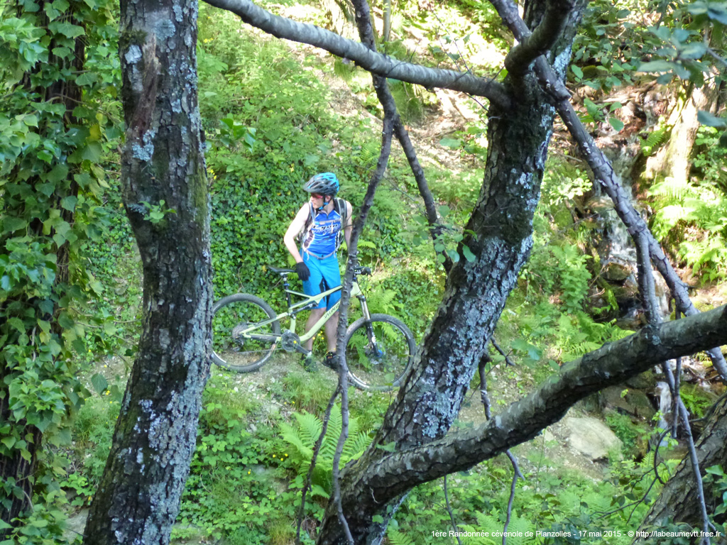 20150517vt094